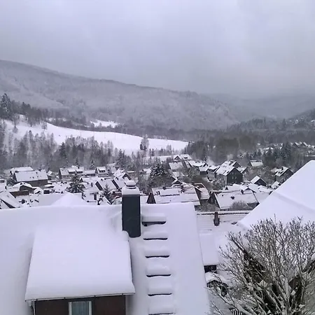 Bergschatz Langelsheim
